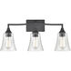 Caily 3 Light 24 inch Matte Black Vanity Light Wall Light